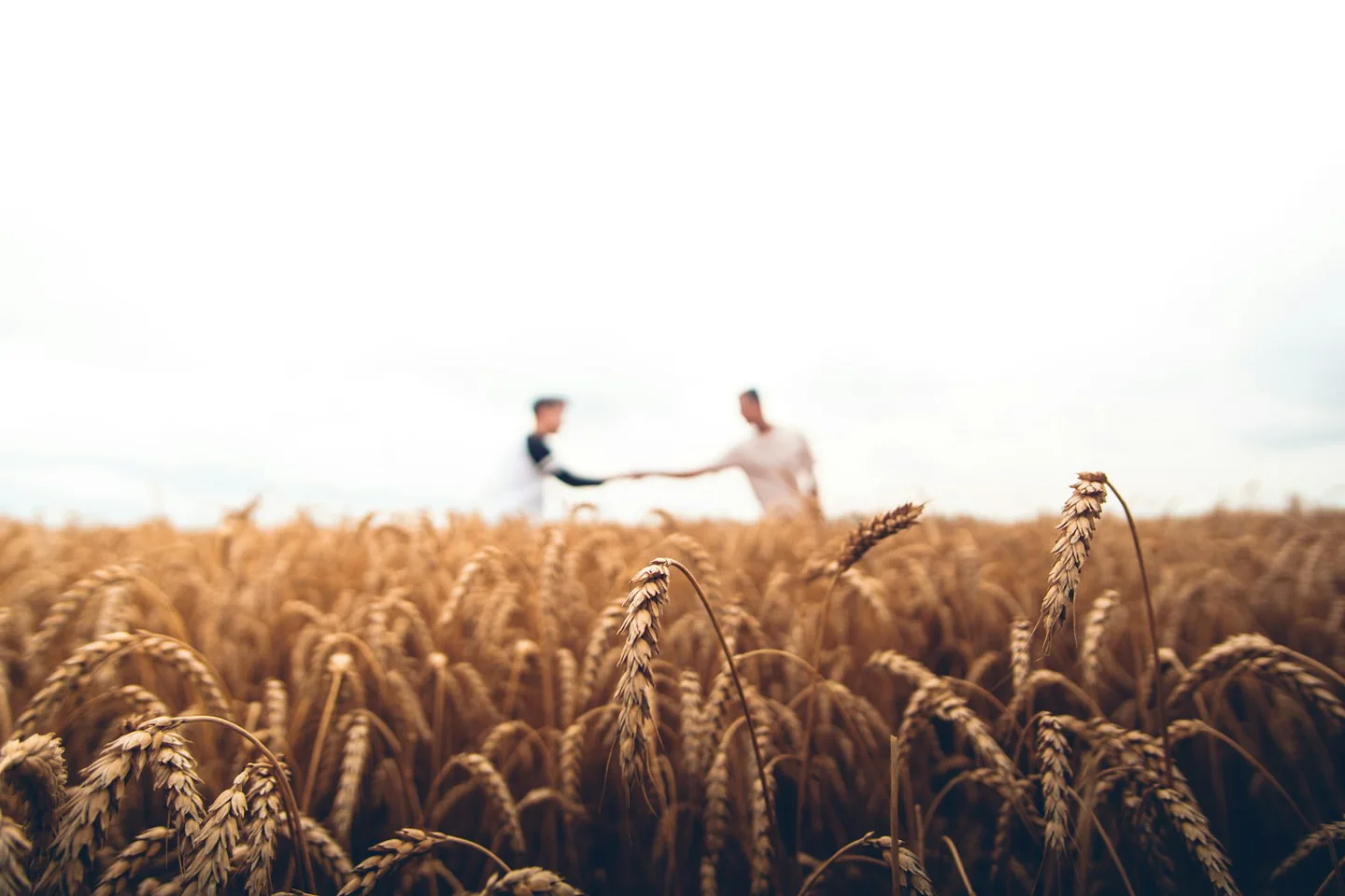 Agricultural worker walking through cultivated farmland